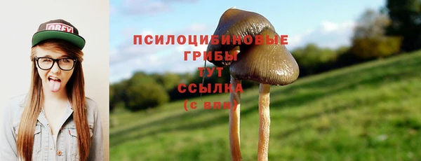 эйфоретик Каменск-Шахтинский