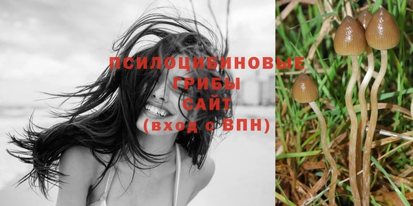 эйфоретик Каменск-Шахтинский