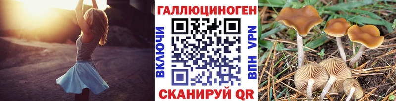 Галлюциногенные грибы Cubensis Купить закладки Нелидово